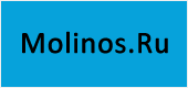 Организатор - агентство цифровых коммуникаций Molinos
