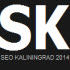 SEO-KALININGRAD-2014-thumb